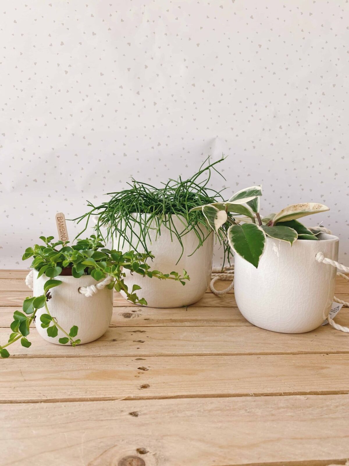 vaso corda bianco vasi per piante