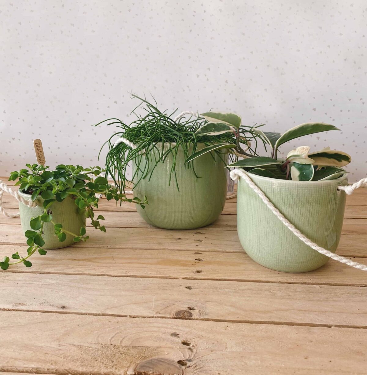 vaso corda verde vasi per piante